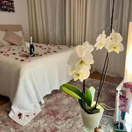 Louis & Elza Old Town Romantic Apartment *